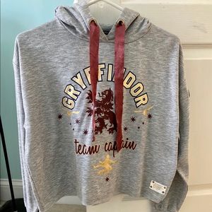 Harry Potter Gryffindor hoodie